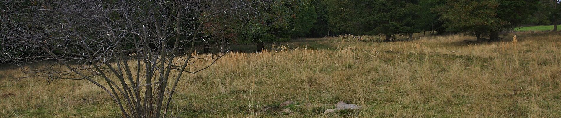 Percorso A piedi Lomnice - naučná stezka Járy Cimrmana - Photo