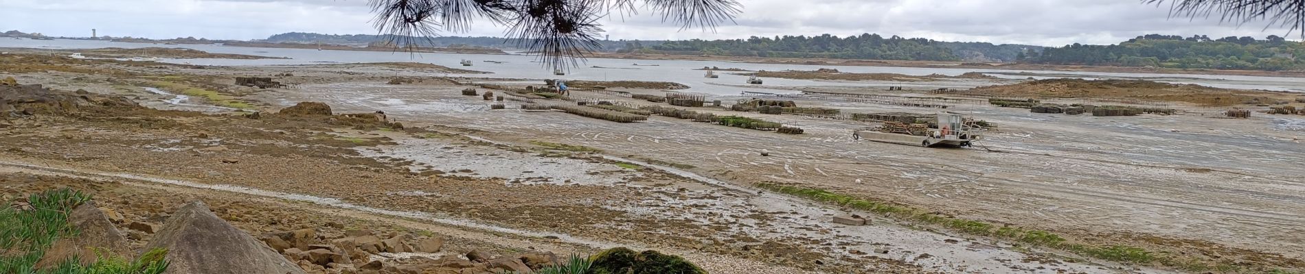 Excursión Senderismo Lanmodez - Lanmodez le 09/10/24 - Photo