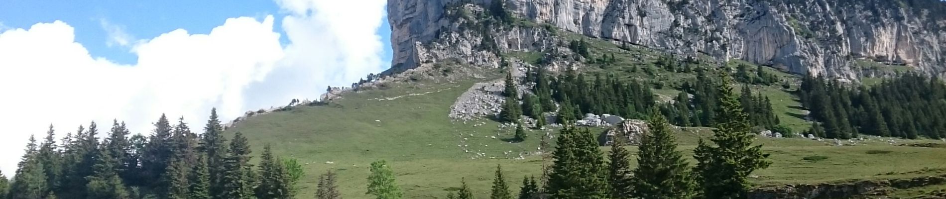 Tour Wandern Entremont-le-Vieux - Croix de l Alpe Le Pinet  - Photo