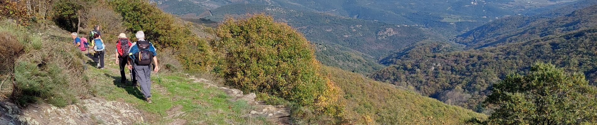 Trail Walking Rosis - Les cinq cols  - Photo