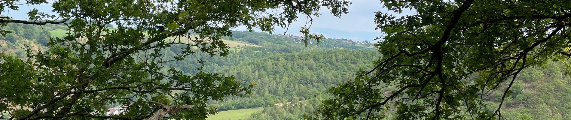 Excursión Senderismo Olne - Drève de forêt par Gelivaux - Photo