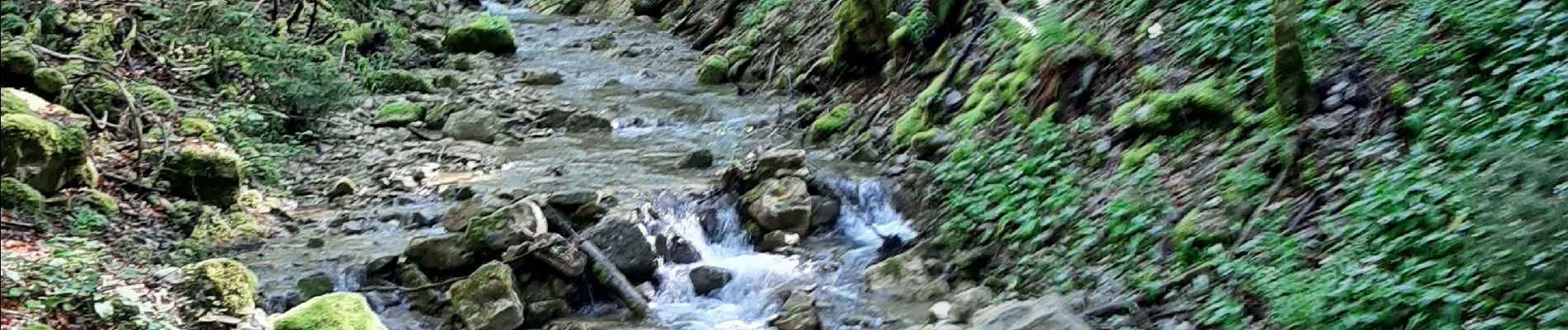 Tour Wandern Saint-Pierre-d'Entremont - Chemin d'Assise de Le Planolet à  La Diat - Photo