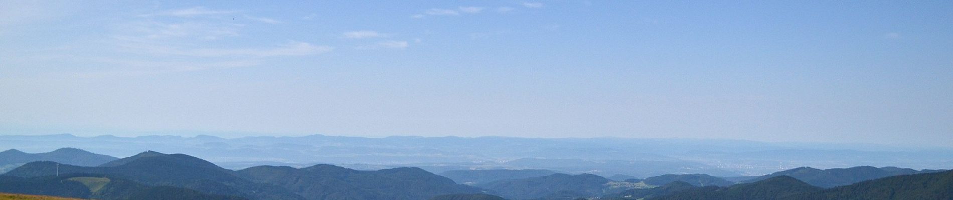 Excursión A pie Schönau im Schwarzwald - Schönau - Belchen - Photo