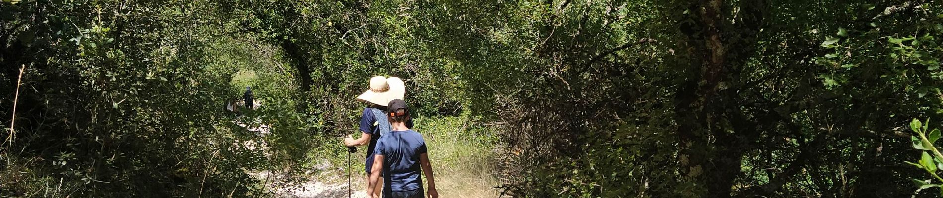 Trail Walking Vallon-Pont-d'Arc - Ardèche - Photo