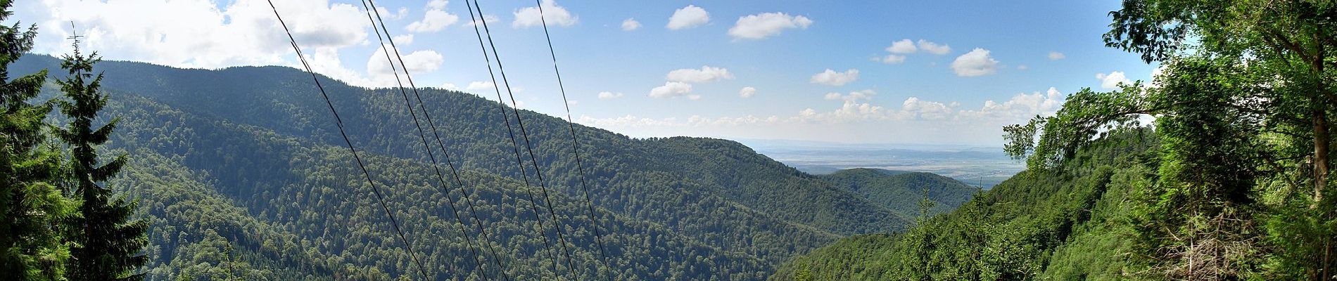 Tour Zu Fuß Unbekannt - Cabana Vama Cucului - Vf. Mierea - V. Doamnei - Photo