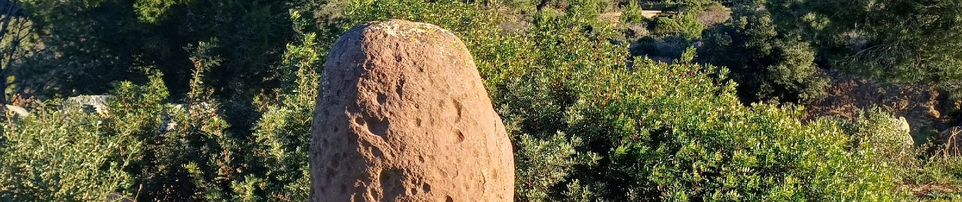 Trail Walking Saint-Raphaël - Menhirs D100 - Photo