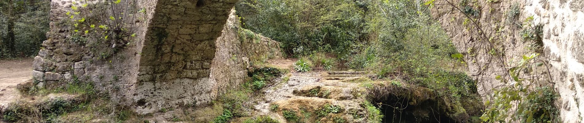 Tocht Stappen Saint-Cézaire-sur-Siagne - autour du village  - Photo