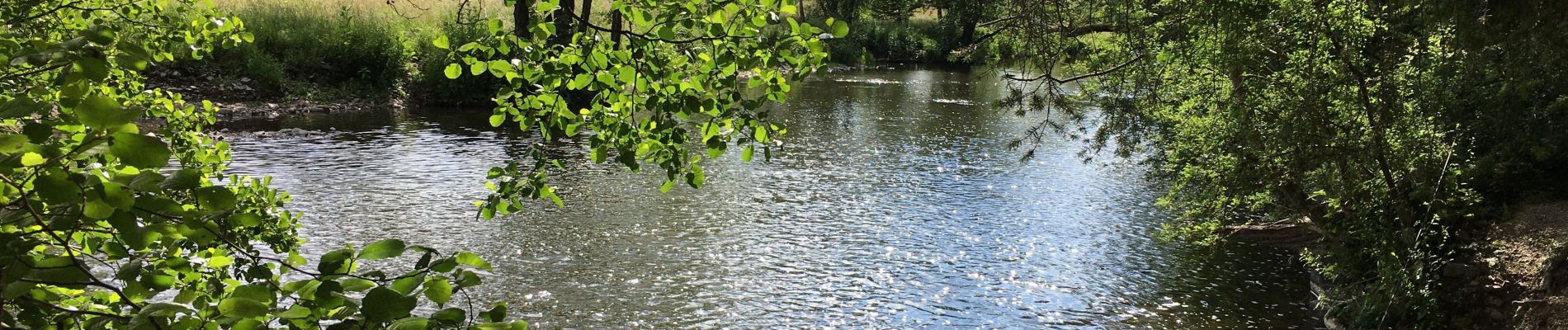 Randonnée Marche Rendeux - Arboretum et Ourthe  - Photo