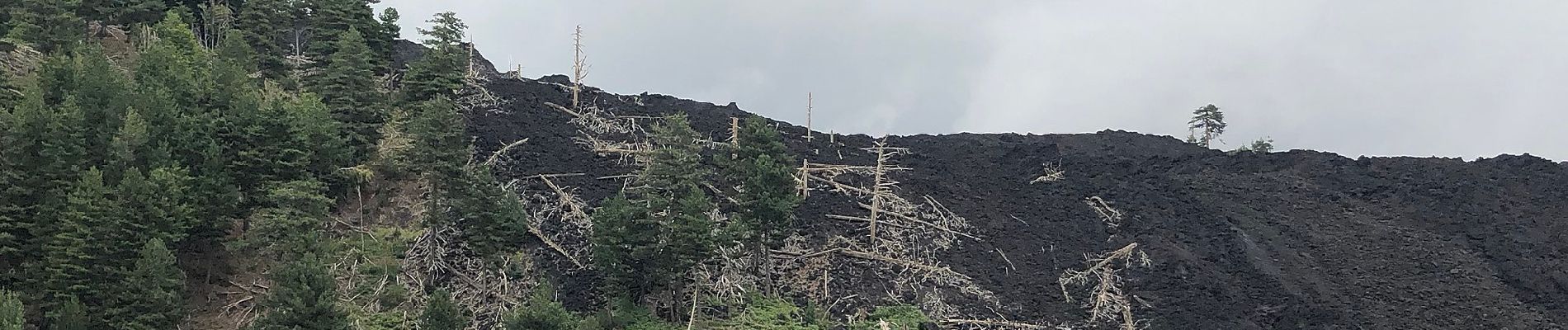 Randonnée A pied Zafferana Etnea - Case Pietracannone - Piano Provenzana - Passo dei Dammusi - Photo