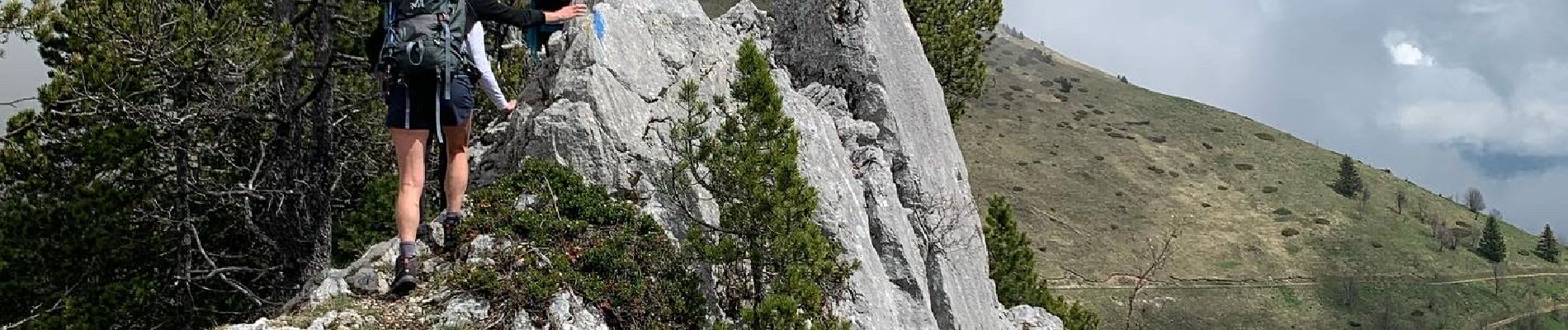 Randonnée Marche Aillon-le-Jeune - Mont Colombier par les rochers de la Bade et la sente de Rossanaz avec CAF Annecy -R3 - Photo