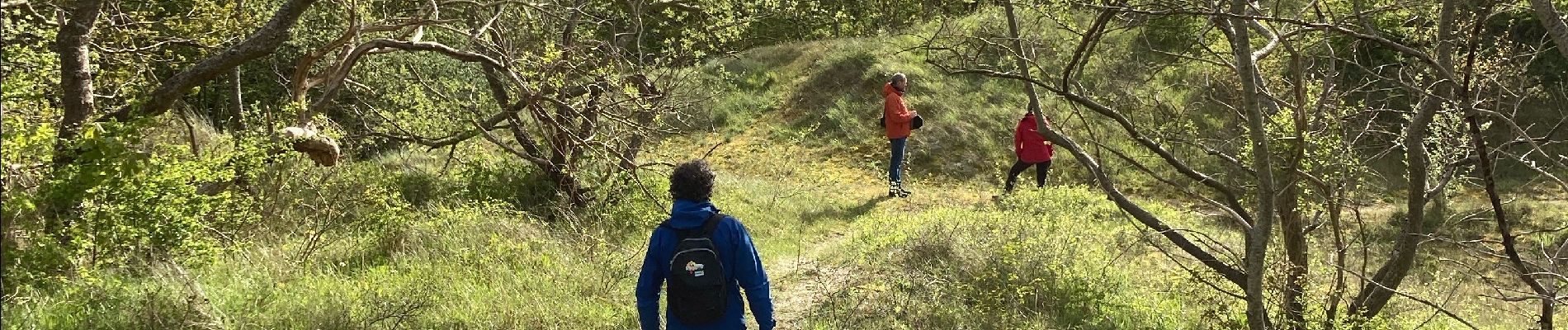 Tour Wandern Bray-Dunes - Dune du Perroquet - Photo