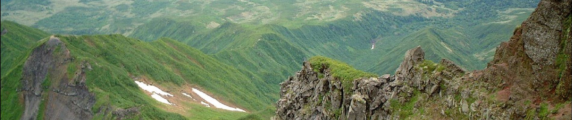 Percorso A piedi Sconosciuto - 利尻山鴛泊コース - Photo