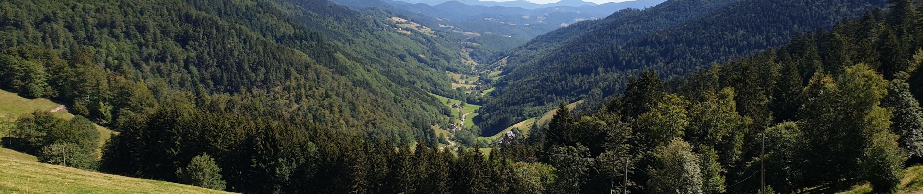 Randonnée Marche Sainte-Marie-aux-Mines - Col des Bagenelles et les deux Brézouard - Photo