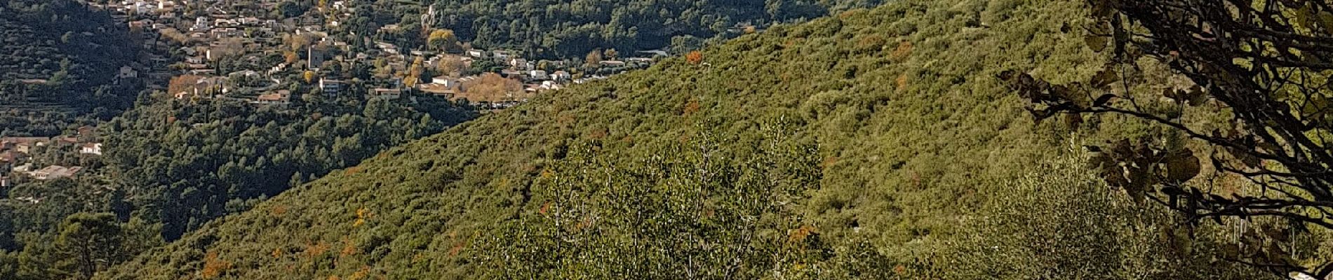 Tocht Stappen La Valette-du-Var - Le Ragas - Photo