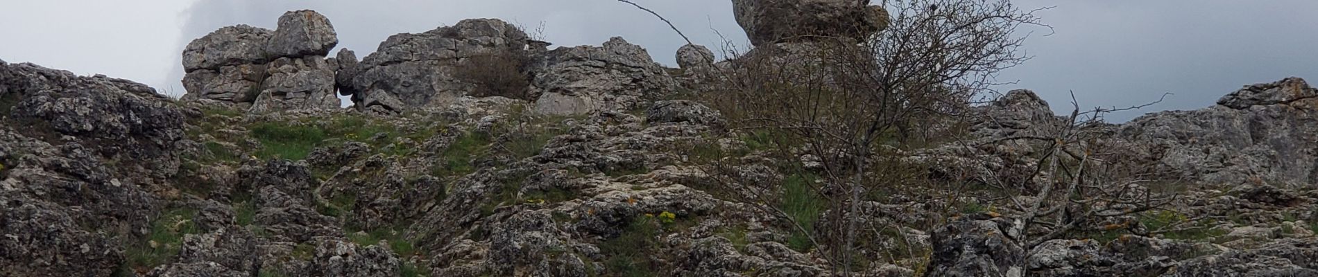 Excursión Senderismo Fraissinet-de-Fourques - nimes le vieux - Photo