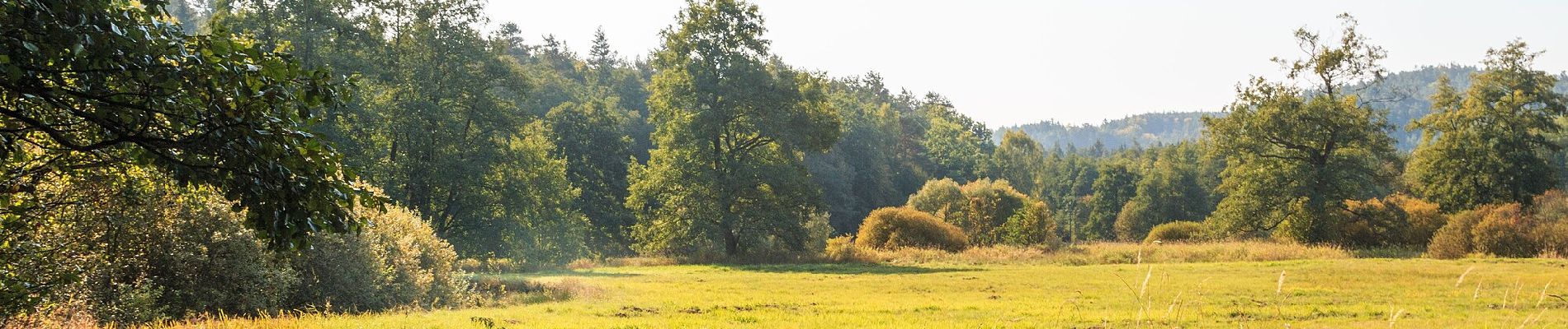 Tocht Te voet Ralsko - naučná stezka Jeřáb - Photo