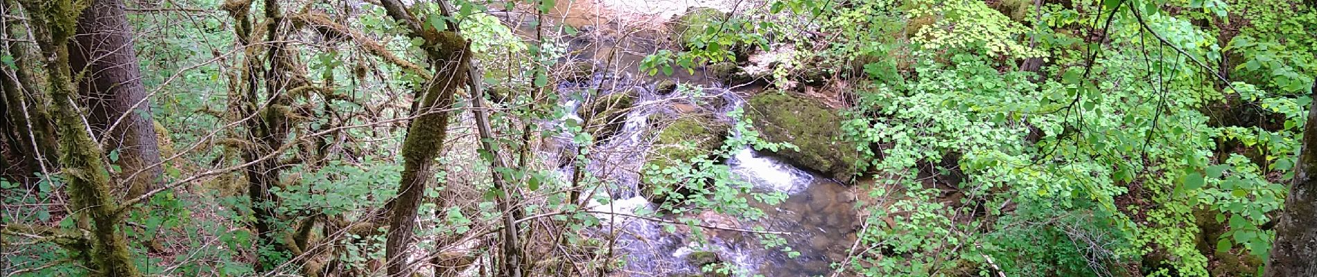 Trail Walking Saint-Claude - Pont de Lison Ponthoux  - Photo