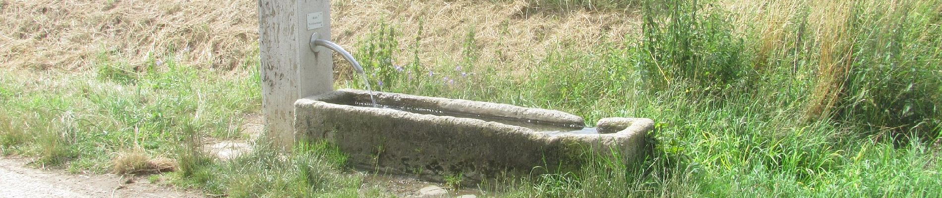 Percorso A piedi Rothenburg ob der Tauber - Rothenburger W10 - Lindleinsee - Photo