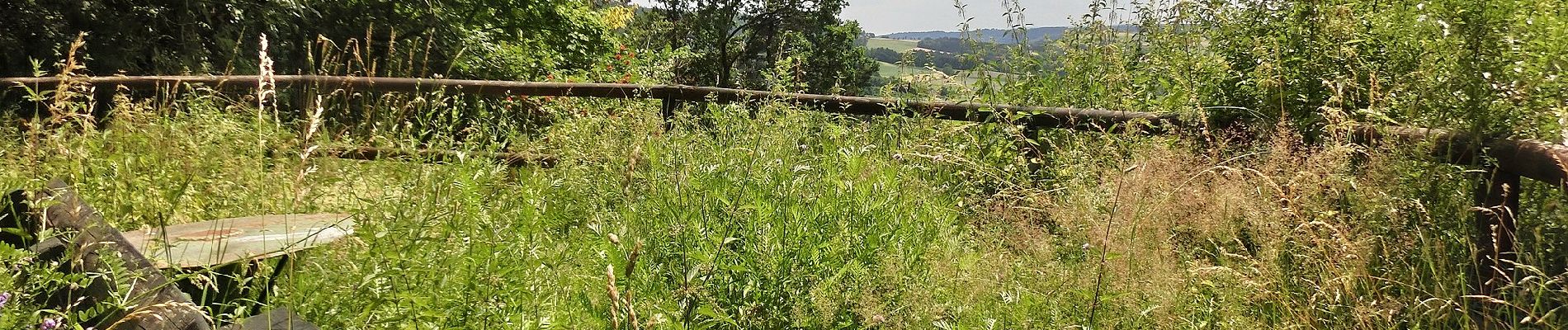 Trail On foot Goldkronach - Goldkronach Rundwanderweg Nr. 3 - Photo