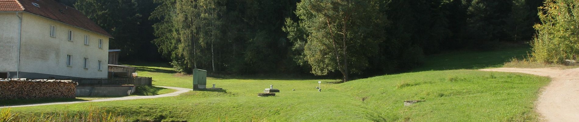 Percorso A piedi Schnaittenbach - Bernsteinweg - Photo