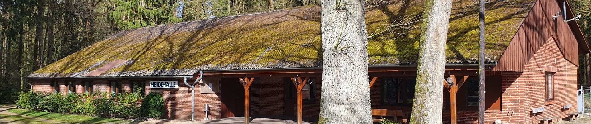 Tour Zu Fuß Undeloh - Kerkstieg - Photo