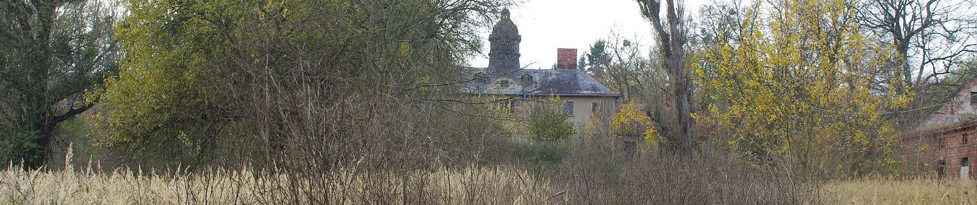 Tour Zu Fuß Wriezen - Grüner Strich - Photo