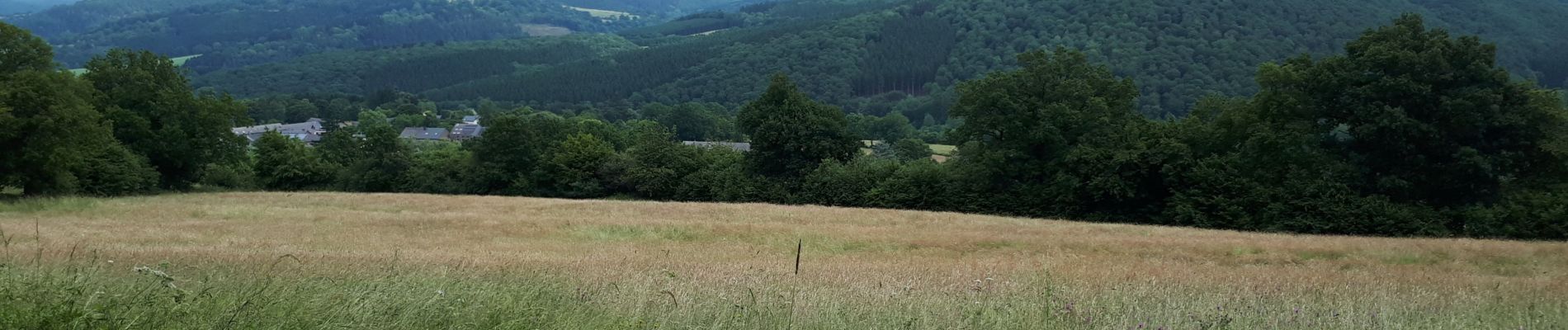 Tour Wandern Érezée - Fanzel - Photo