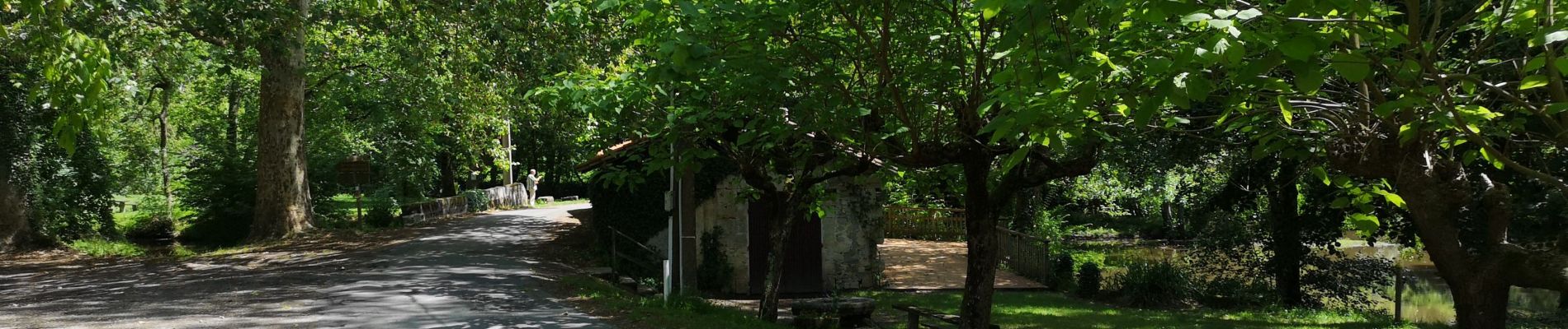 Excursión Bici de montaña Marsas - 190622 - Photo