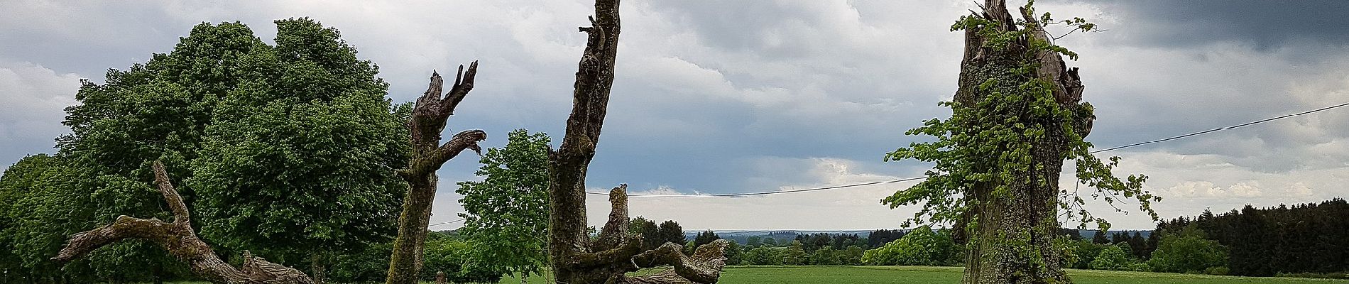 Randonnée A pied Herbrechtingen - Urweltpfad Bolheim - Photo