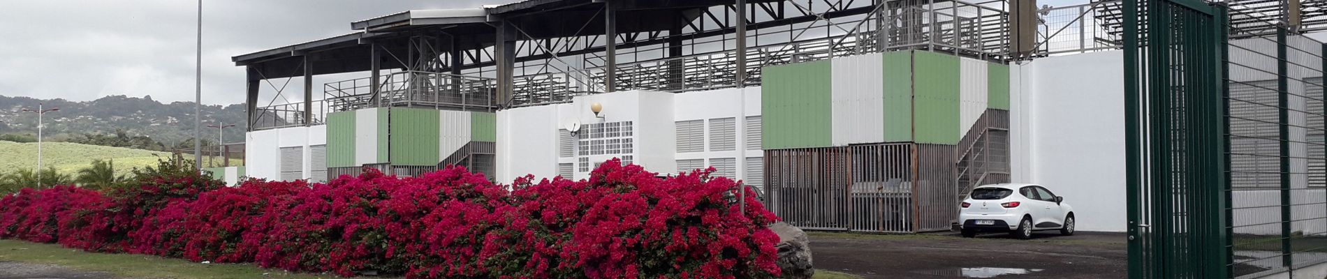 Excursión Senderismo Le François - Stade du François-pointe Degras en boucle - Photo