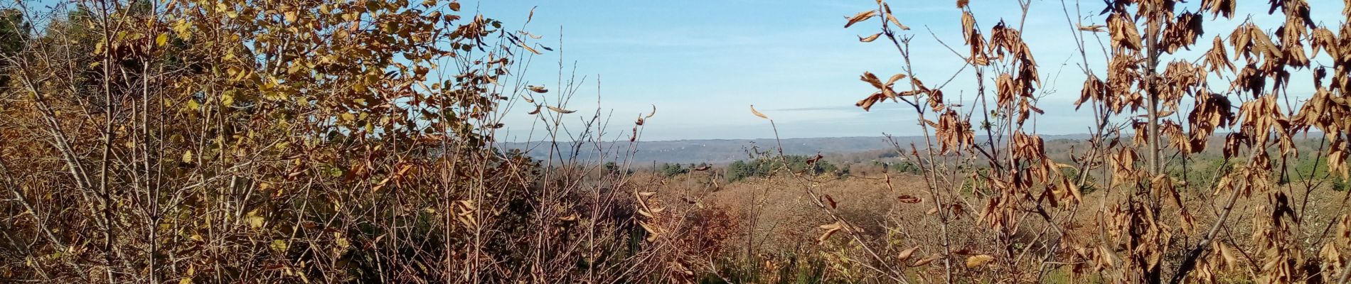 Tour Wandern Le Buisson-de-Cadouin - Cadouin 12km - Photo