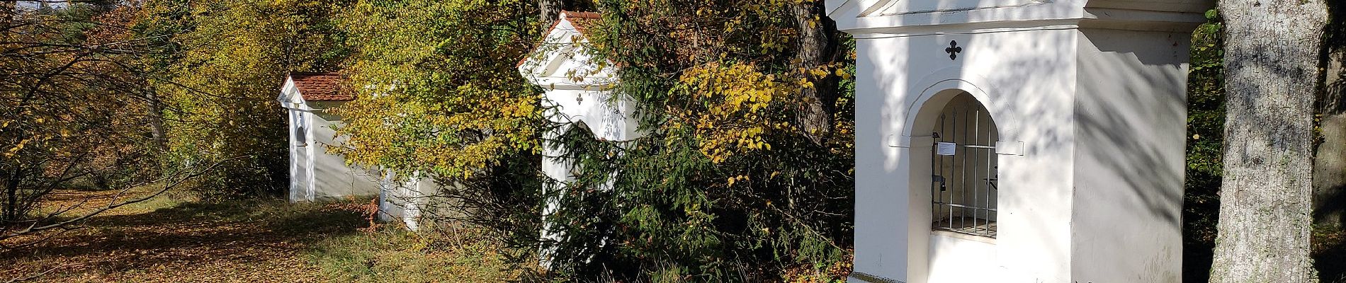 Percorso A piedi Kelheim - Ortswanderweg Kelheim 4 - Photo