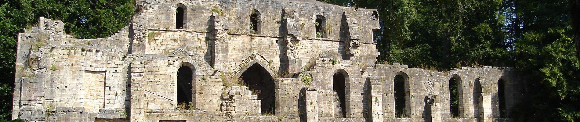 Tocht Te voet Trois-Fontaines-l'Abbaye - Randonnée Trois-Fontaine-L'Abbaye - Photo