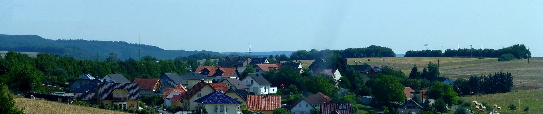 Percorso A piedi Hochstetten-Dhaun - VitalTour: Wildgrafenweg - Photo