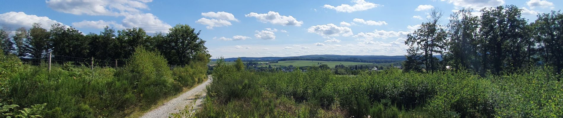 Tocht Stappen Saint-Hubert - rando ornitho arville 10/09/2020 - Photo