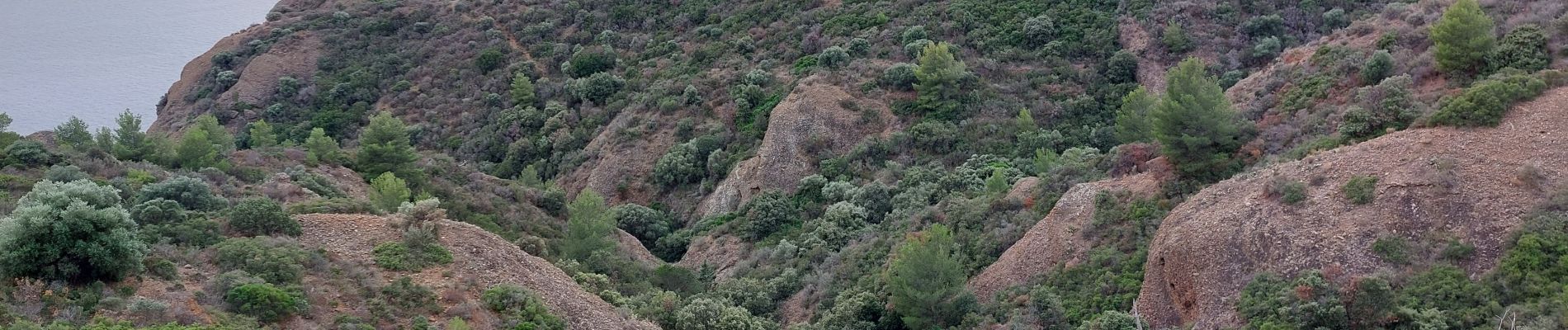 Trail Walking La Ciotat - la ciotat calanques depuis ND de la Garde - Photo