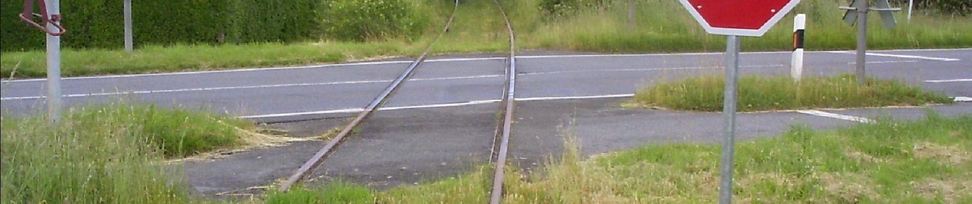 Tocht Te voet Tarmstedt - Nordpfad Tarmstedter Moor - Photo