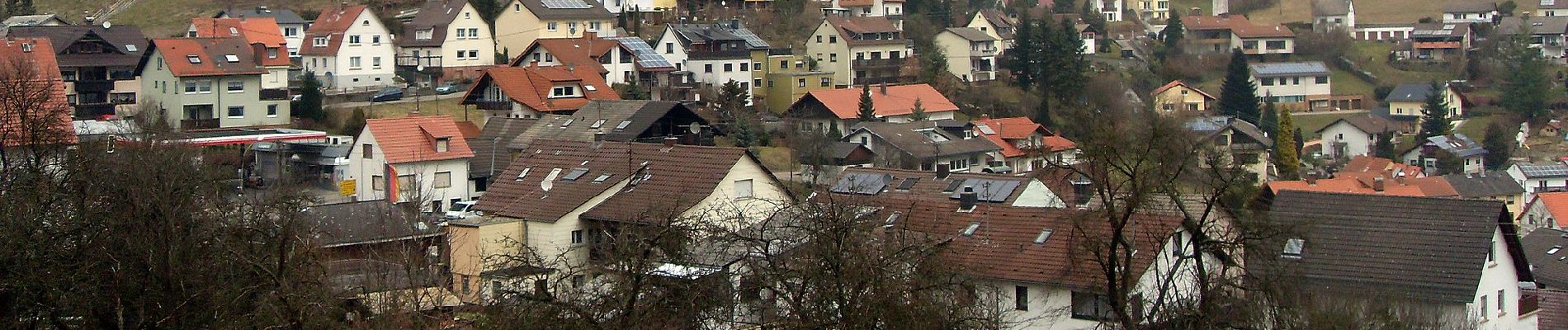 Randonnée A pied Schriesheim - Rundwanderweg Wilhelmsfeld 12: Leichtersberg-Weg - Photo