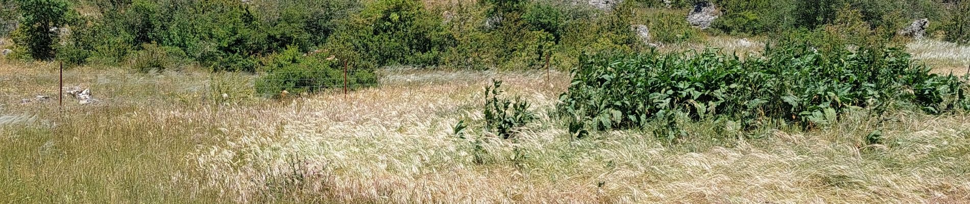 Randonnée Marche Saint-Félix-de-l'Héras - Saint-Félix de l'Heras - Photo