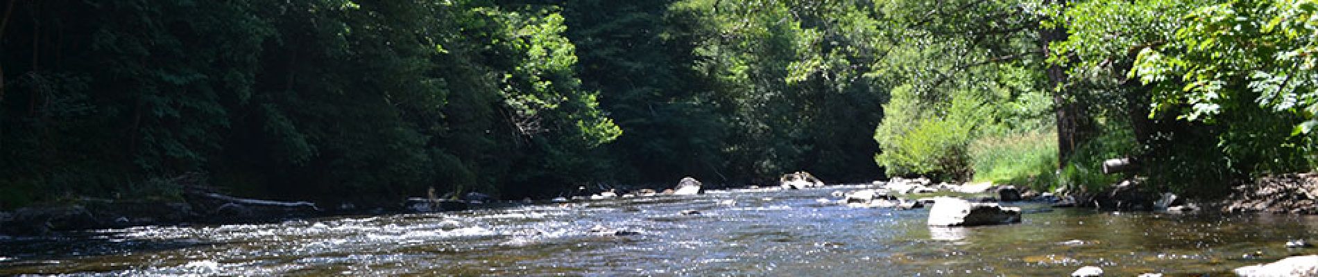 Excursión Senderismo Bromont-Lamothe - Le piège à con  - Photo