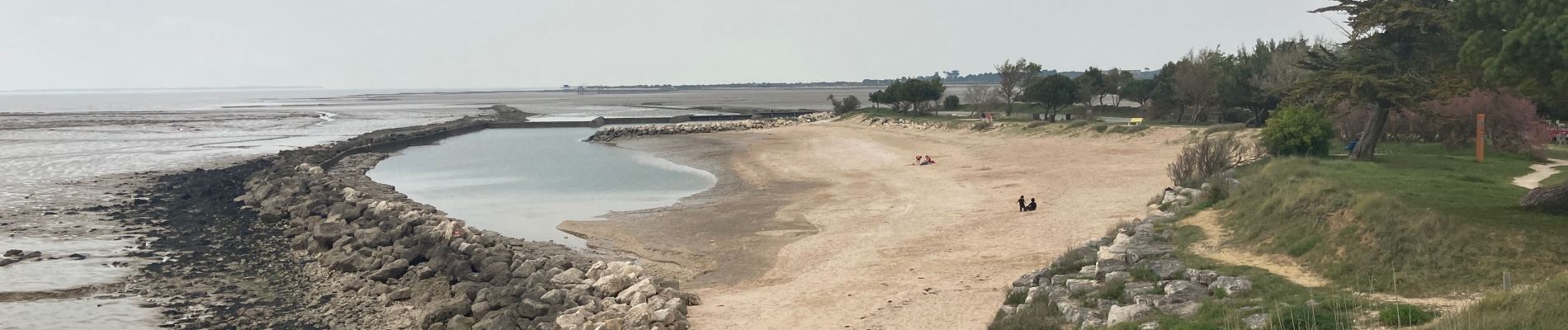 Percorso Marcia Saint-Nazaire-sur-Charente - Ballade de Charente à île madame - Photo