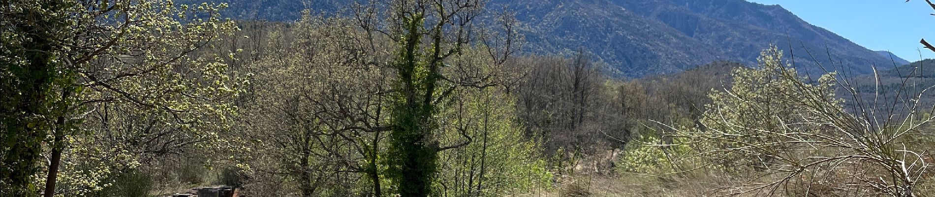 Excursión Senderismo Los Masos - Los Masos Lionat - Photo