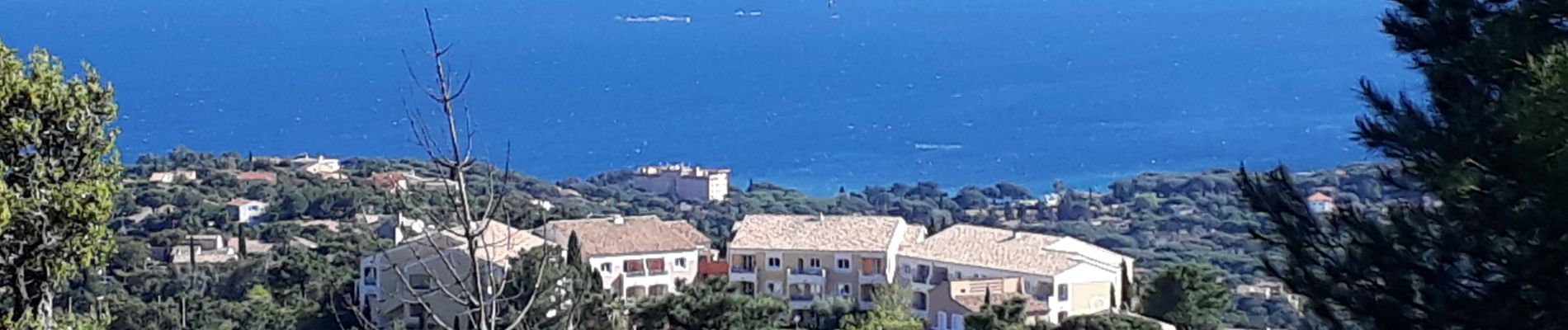 Tocht Stappen Roquebrune-sur-Argens - la Gaillarde  - Photo