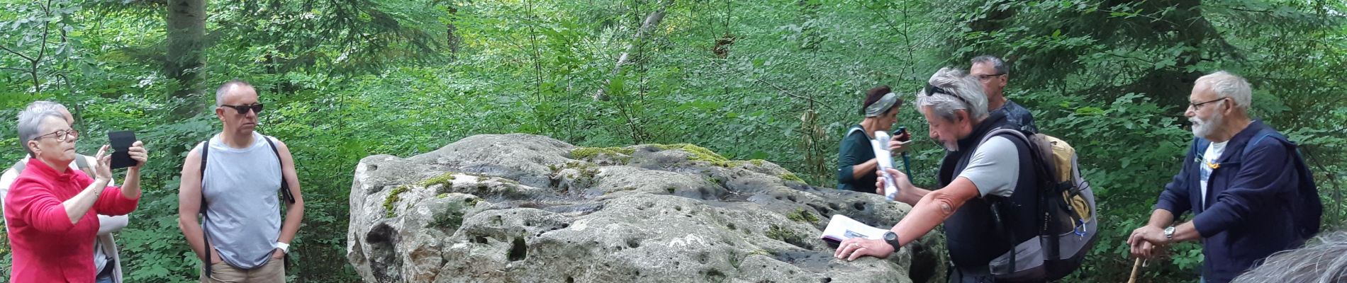 Randonnée Marche Courgenay - Forêt de Lancy - Photo