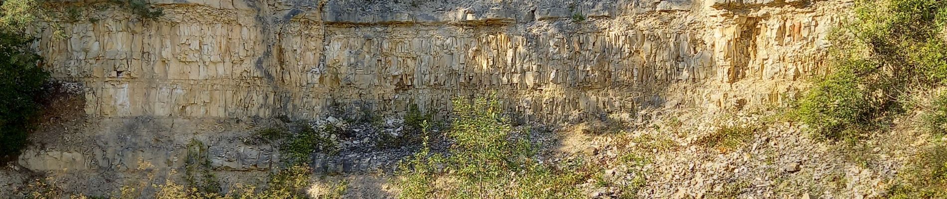 Trail Walking Pierrefitte-sur-Aire - Le gros charme - Photo