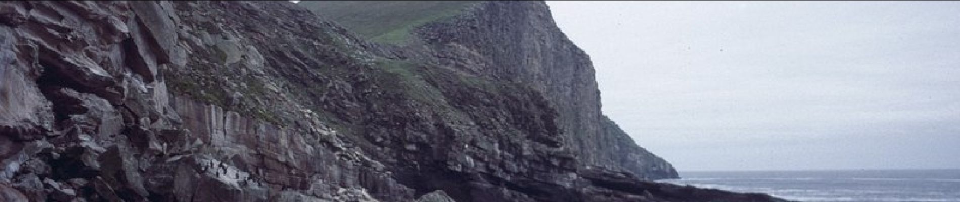 Randonnée A pied Unknown - Foula Pier to South Ness and Da Sneck - Photo