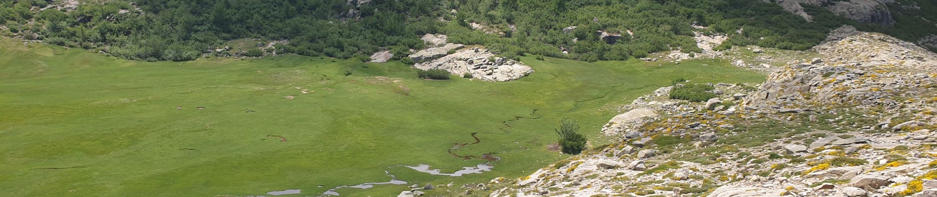 Excursión Senderismo Albertacce - lac de nino(niellu) - Photo