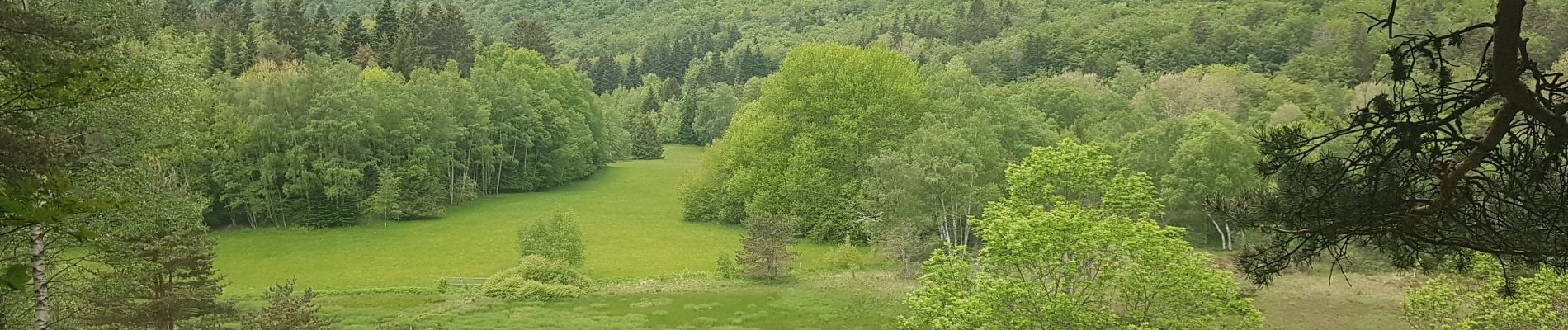 Excursión Senderismo Claix - La Tourbière du Peuil - Photo