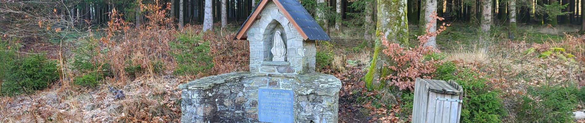 Tour Wandern Bouillon - Vivy 140223 - Photo