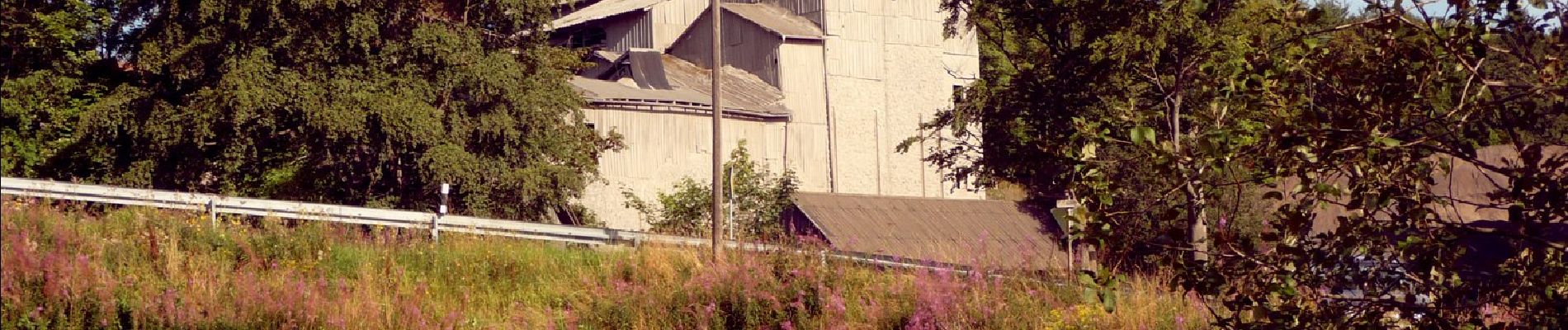 Tour Zu Fuß Wildflecken - Rhön Rundweg 4 - Photo